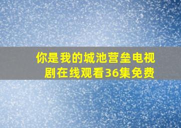 你是我的城池营垒电视剧在线观看36集免费