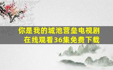 你是我的城池营垒电视剧在线观看36集免费下载