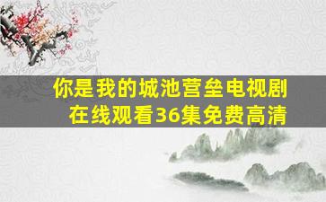 你是我的城池营垒电视剧在线观看36集免费高清