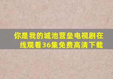 你是我的城池营垒电视剧在线观看36集免费高清下载