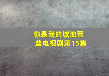 你是我的城池营垒电视剧第15集