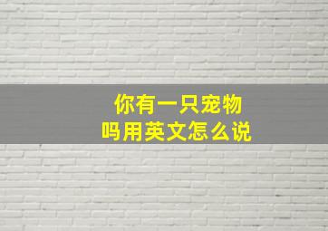 你有一只宠物吗用英文怎么说