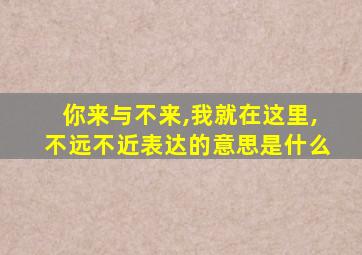 你来与不来,我就在这里,不远不近表达的意思是什么