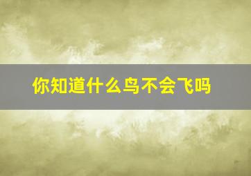 你知道什么鸟不会飞吗