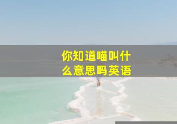 你知道喵叫什么意思吗英语