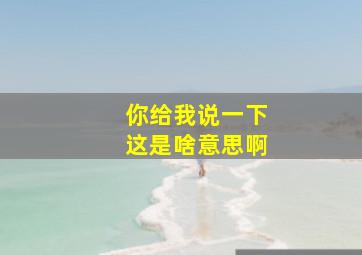 你给我说一下这是啥意思啊