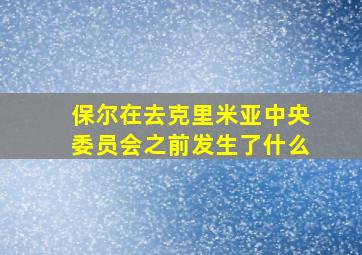 保尔在去克里米亚中央委员会之前发生了什么