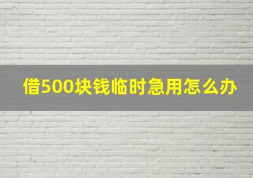 借500块钱临时急用怎么办