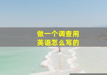 做一个调查用英语怎么写的