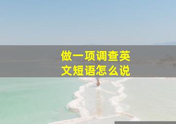 做一项调查英文短语怎么说