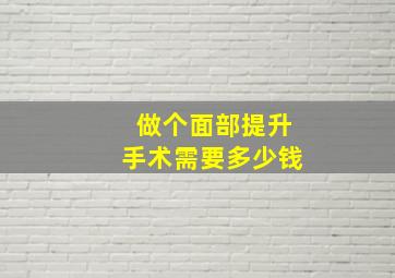 做个面部提升手术需要多少钱