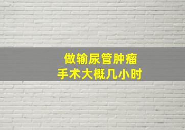 做输尿管肿瘤手术大概几小时