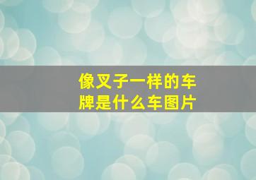 像叉子一样的车牌是什么车图片