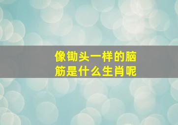 像锄头一样的脑筋是什么生肖呢