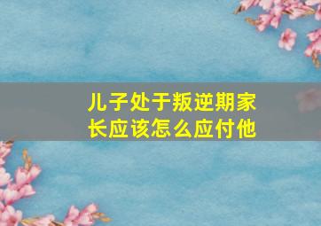 儿子处于叛逆期家长应该怎么应付他