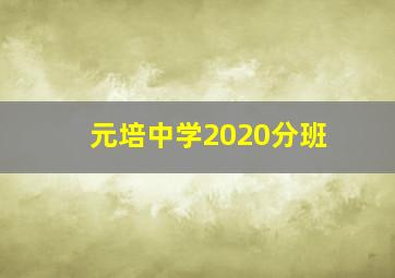 元培中学2020分班