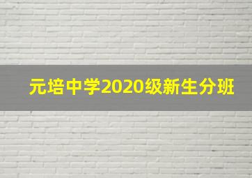 元培中学2020级新生分班