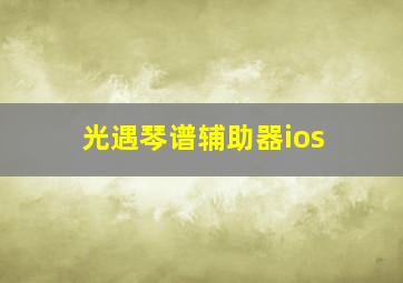 光遇琴谱辅助器ios