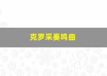 克罗采奏鸣曲