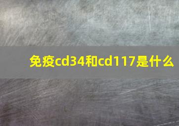 免疫cd34和cd117是什么