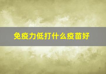 免疫力低打什么疫苗好