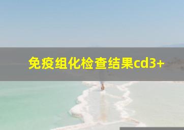 免疫组化检查结果cd3+