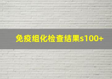 免疫组化检查结果s100+