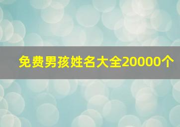 免费男孩姓名大全20000个