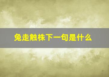 兔走触株下一句是什么