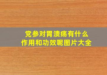 党参对胃溃疡有什么作用和功效呢图片大全