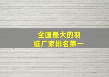 全国最大的羽绒厂家排名第一