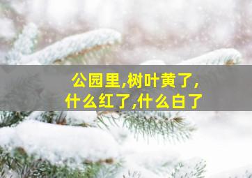 公园里,树叶黄了,什么红了,什么白了