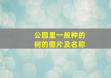 公园里一般种的树的图片及名称