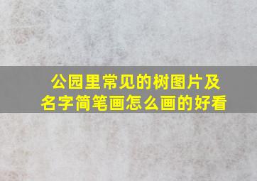 公园里常见的树图片及名字简笔画怎么画的好看