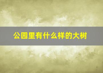 公园里有什么样的大树