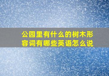 公园里有什么的树木形容词有哪些英语怎么说