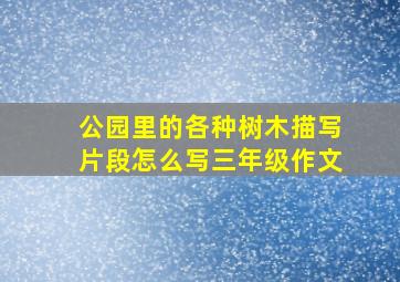 公园里的各种树木描写片段怎么写三年级作文