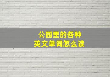 公园里的各种英文单词怎么读