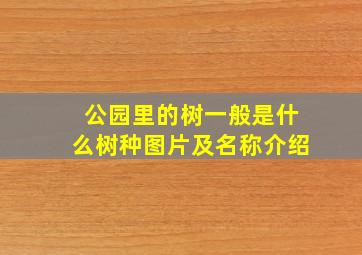 公园里的树一般是什么树种图片及名称介绍