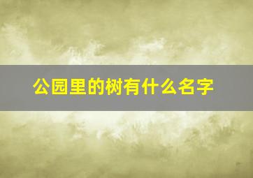 公园里的树有什么名字