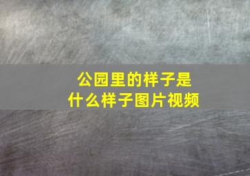 公园里的样子是什么样子图片视频