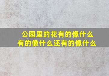 公园里的花有的像什么有的像什么还有的像什么