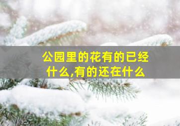 公园里的花有的已经什么,有的还在什么