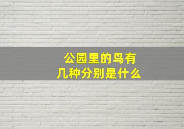 公园里的鸟有几种分别是什么