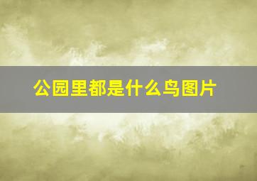 公园里都是什么鸟图片