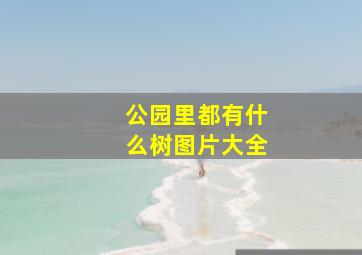 公园里都有什么树图片大全