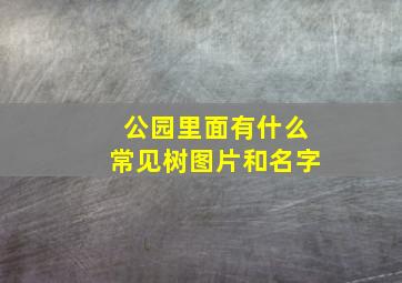 公园里面有什么常见树图片和名字