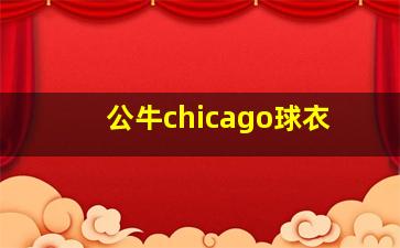 公牛chicago球衣