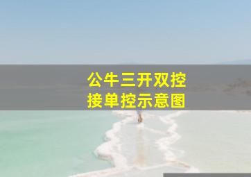 公牛三开双控接单控示意图