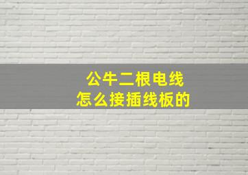 公牛二根电线怎么接插线板的